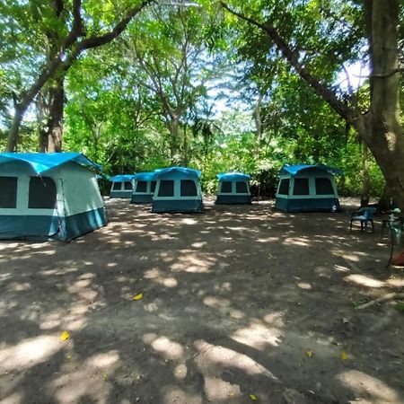 Happy Camping Arrecifes Dentro Del Parque Nacional Natural Tayrona El Coquito Ngoại thất bức ảnh