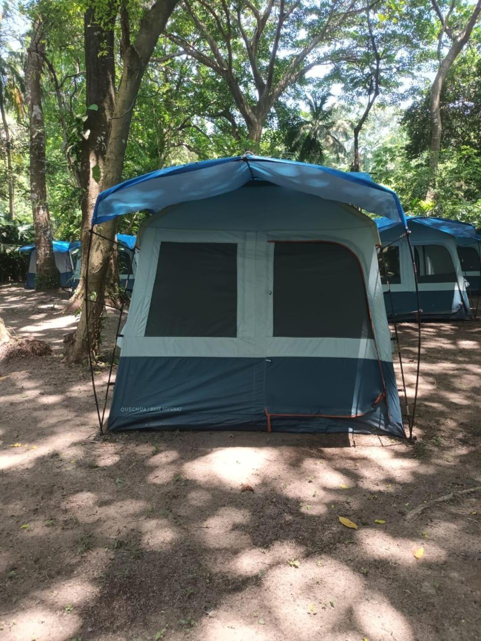 Happy Camping Arrecifes Dentro Del Parque Nacional Natural Tayrona El Coquito Ngoại thất bức ảnh