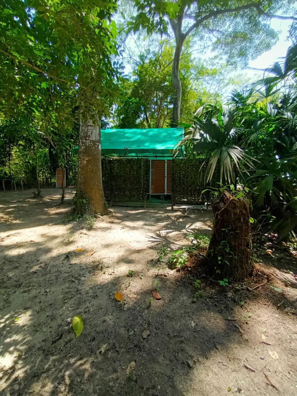 Happy Camping Arrecifes Dentro Del Parque Nacional Natural Tayrona El Coquito Ngoại thất bức ảnh