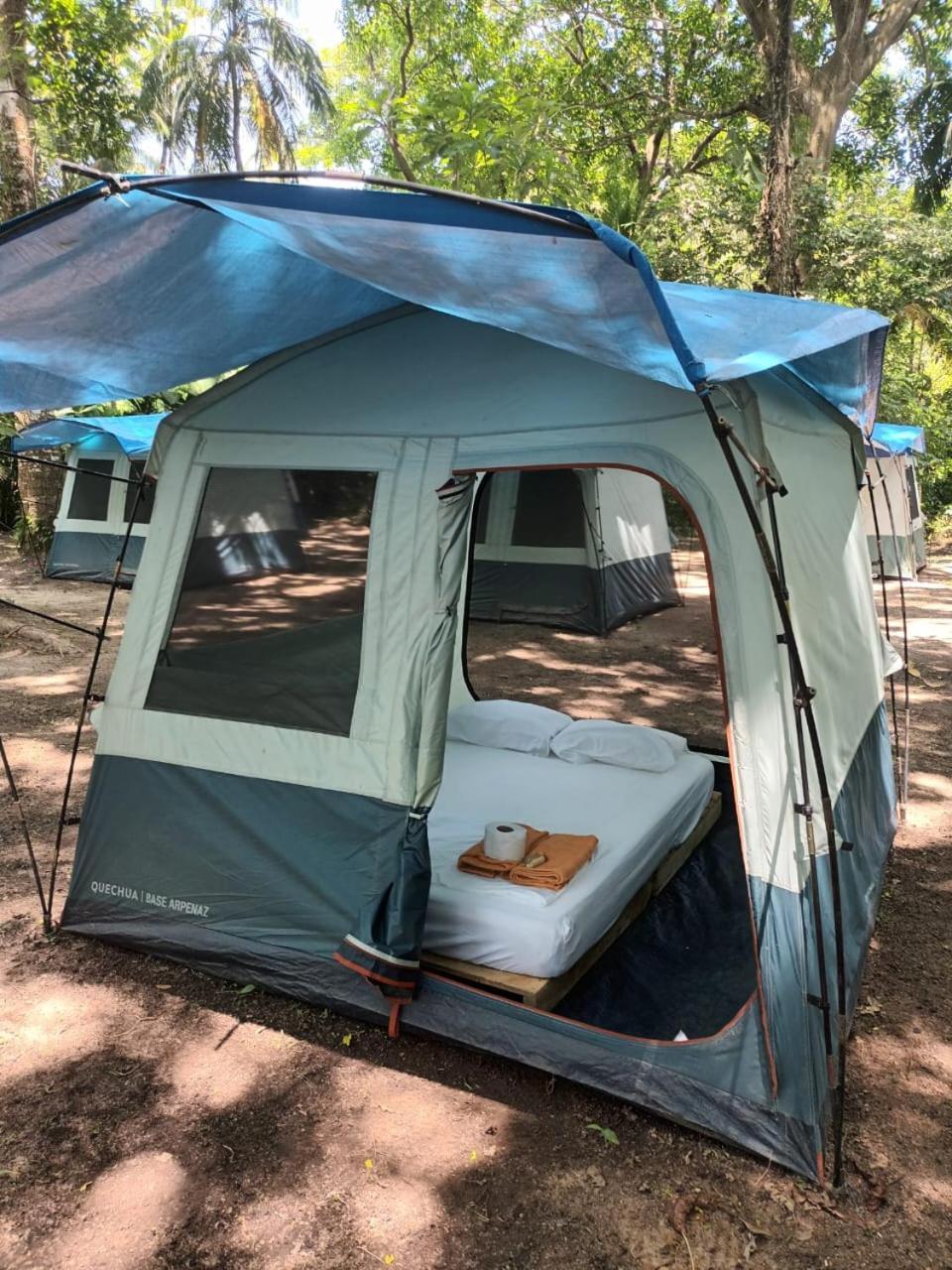 Happy Camping Arrecifes Dentro Del Parque Nacional Natural Tayrona El Coquito Ngoại thất bức ảnh